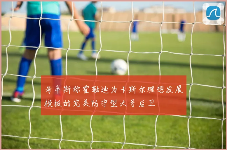 考辛斯称霍勒迪为卡斯尔理想发展模板的完美防守型大号后卫