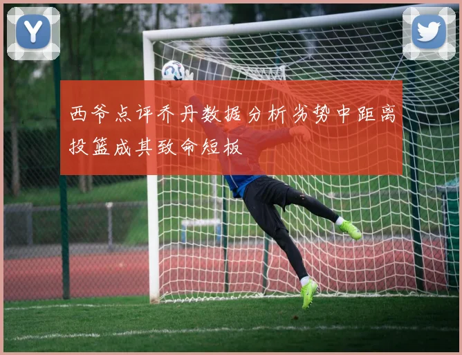西爷点评乔丹数据分析劣势中距离投篮成其致命短板